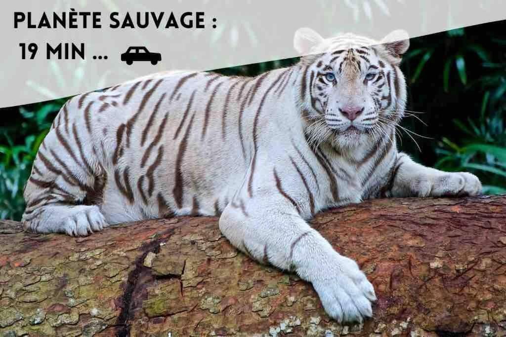 Le Cali Διαμέρισμα Bouguenais Εξωτερικό φωτογραφία
